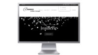Site internet Dumasjoaillier Avignon