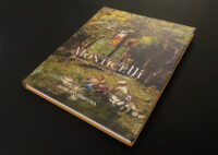 LIVRE MONTICELLI PRÉCURSEUR DE L'IMPRESSIONNISME 2024 Isabelle Bellaton IBSTUDIO